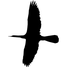 Flying big bird shape icon