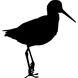 Sandpiper bird shape icon