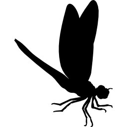 Dragon fly insect animal shape icon