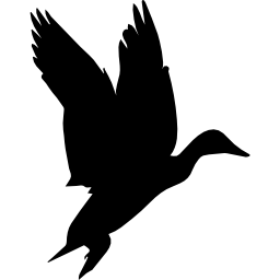 uccello forma di uccelli acquatici icona