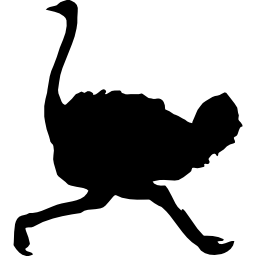 forma de pássaro avestruz correndo Ícone