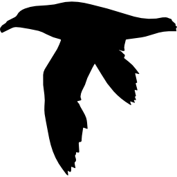 vogelstormvogel vorm icoon