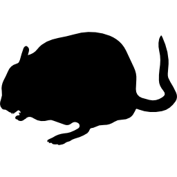 forma animal chinchilla icono