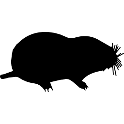 Mole mammal animal shape icon