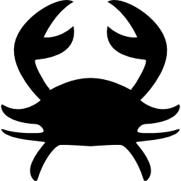 Cancer astrological sign of crab silhouette icon