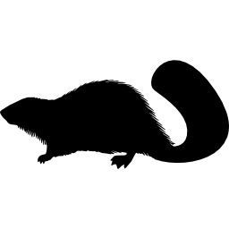Beaver mammal animal shape icon