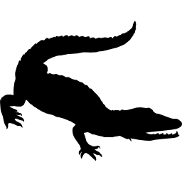 Crocodile shape icon