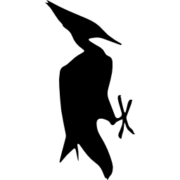 forma de pájaro icono