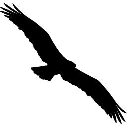 forma de pájaro águila pescadora icono