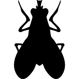 Blow fly insect shape icon