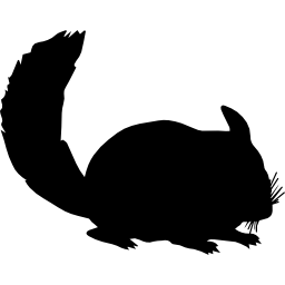 chinchilla zoogdier dierlijk silhouet icoon