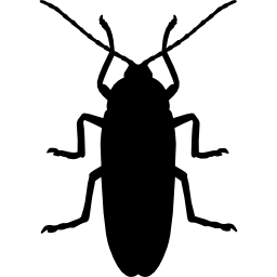 Cockroach silhouette icon