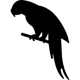 a forma di pappagallo icona