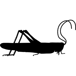 Grasshopper insect side view shape icon