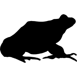 forma de rana icono