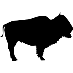 siluetta della bestia selvaggia del bufalo icona