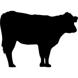 silhueta de vaca Ícone