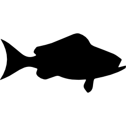 Рыба черный морской окунь вид сбоку иконка