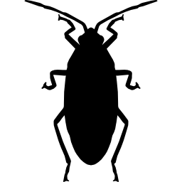 kakkerlak icoon