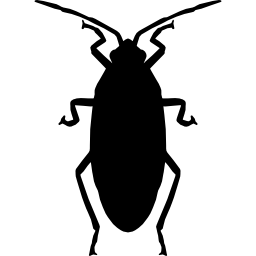 Roach icon