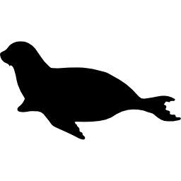 kształt zwierzęcia ssaka lwa morskiego ikona