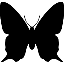 Butterfly insect animal shape icon