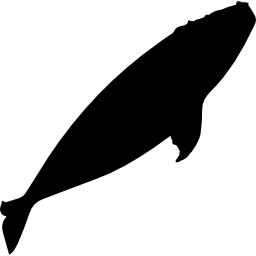 Right whale silhouette icon