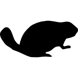 Beaver mammal animal shape icon