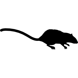 forma di animale mammifero topo icona