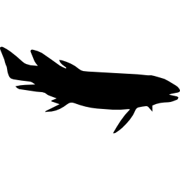 forma de pez icono