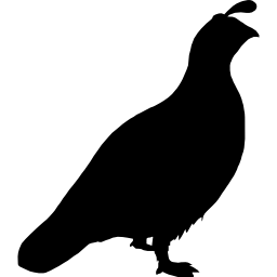 forma de ave codorniz icono