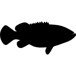 forme de poisson mérou goliath Icône