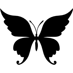 piękny kształt motyla ikona