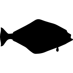 forme de poisson flétan Icône