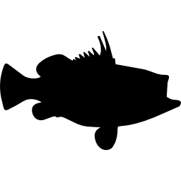 forma de pez de roca icono