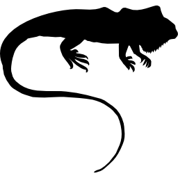 sagoma di iguana icona