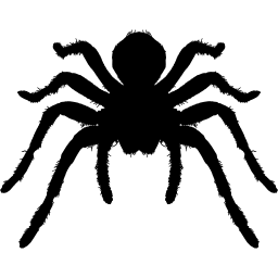 Tarantula arthropod animal silhouette icon