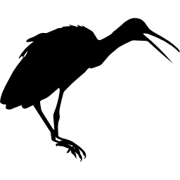 forma de pássaro limpkin Ícone