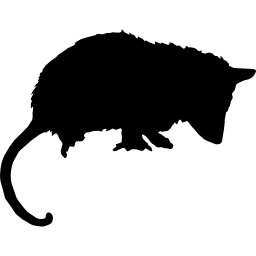 silueta de animal mamífero zarigüeya icono