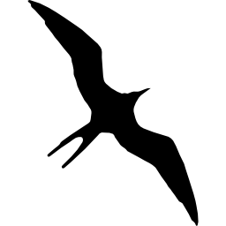 forma animal do pássaro fragata Ícone