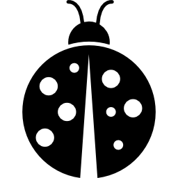 spotted chrząszcz owad ogród ikona