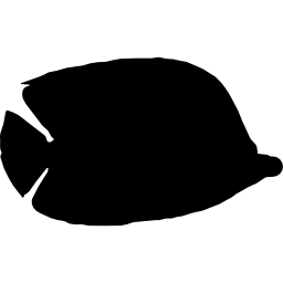 forma de dimidiato de peixe Ícone