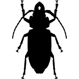 Cockroach shape icon