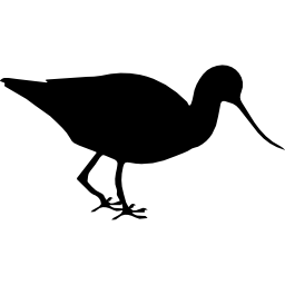 Avocet bird animal shape icon