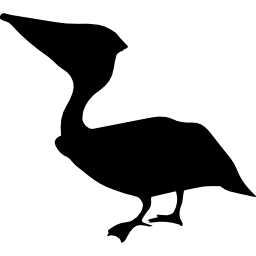 silueta de pájaro anhinga icono