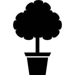 albero da cortile in vaso icona