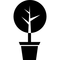 Yard tree of circular shape in a pot icon