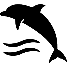 Dolphin on water waves icon