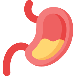 Stomach icon