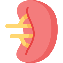 Spleen icon